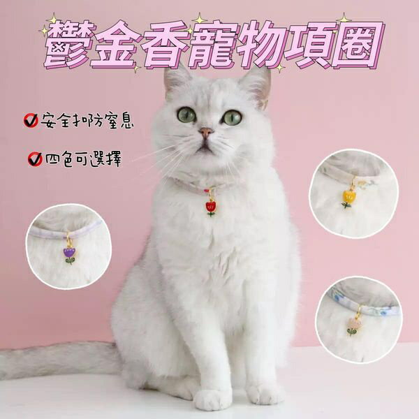 『臺灣x現貨秒出』鬱金香格紋花朵寵物領巾 寵物項圈 貓咪領巾 狗狗領巾 貓項圈 狗項圈