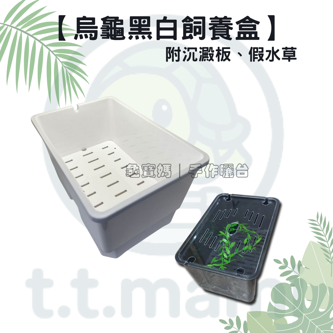 烏龜黑白飼養盒套組｜附沉澱板＋假水草｜大小款尺寸可選