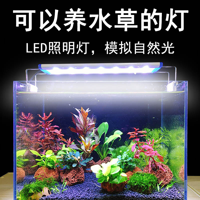 水草燈防水超薄1cm厚水草缸燈超亮小型魚缸水族箱藍白光led照明燈 協貿國際日用品生活7館 樂天市場rakuten