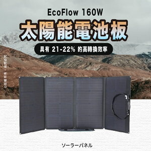 【享4%點數】EcoFlow 160W 太陽能電池板【限定樂天APP下單】