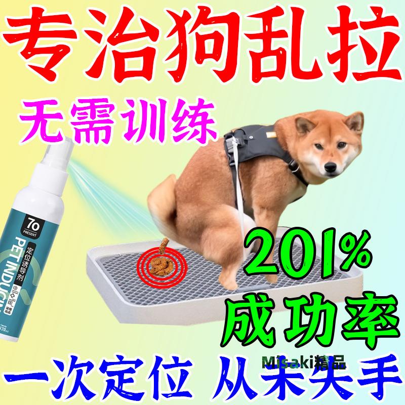 無需訓練】狗狗定點上廁所神器訓練寵物狗大小排便不亂拉屎誘導劑-Misaki精品