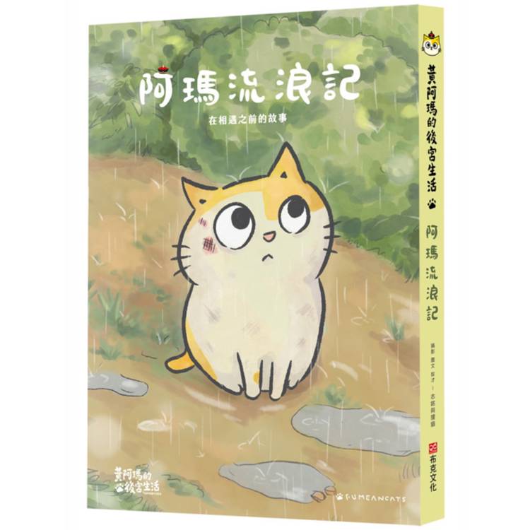 黃阿瑪的後宮生活 阿瑪流浪記：在相遇之前的故事