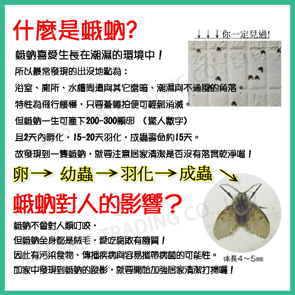 日本 KINCHO 金鳥 除蛾蚋 驅蛾 泡沫噴霧 排水口 浴廁 300ml 3