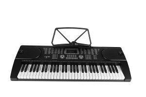 《省您錢購物網》全新~高級款教學型61鍵電子琴~255種標準音色(面板繁體中文)