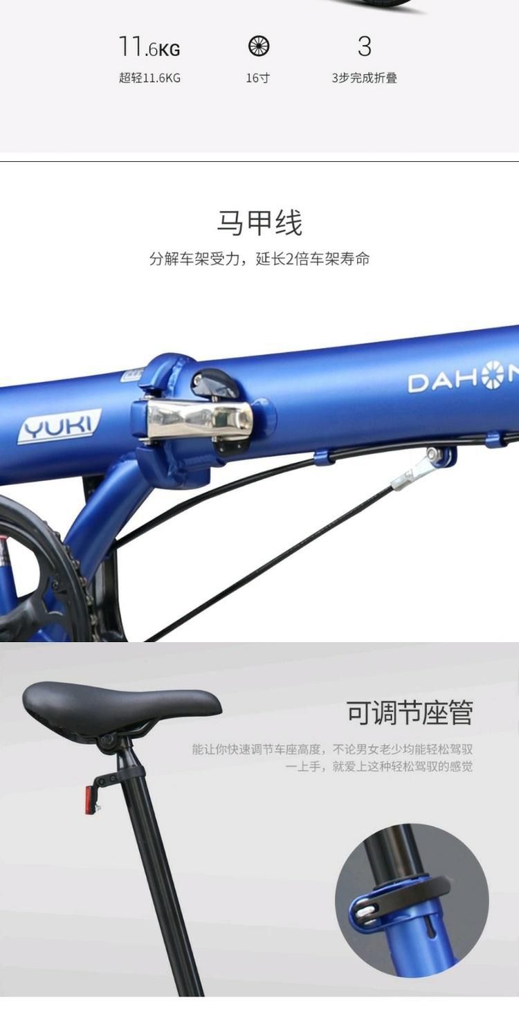 Kt610 dahon hot sale