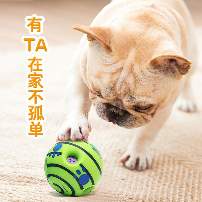 小寵物狗玩具發聲球磨牙耐咬巡迴訓練空心滾動泰迪訓狗解悶犬用品