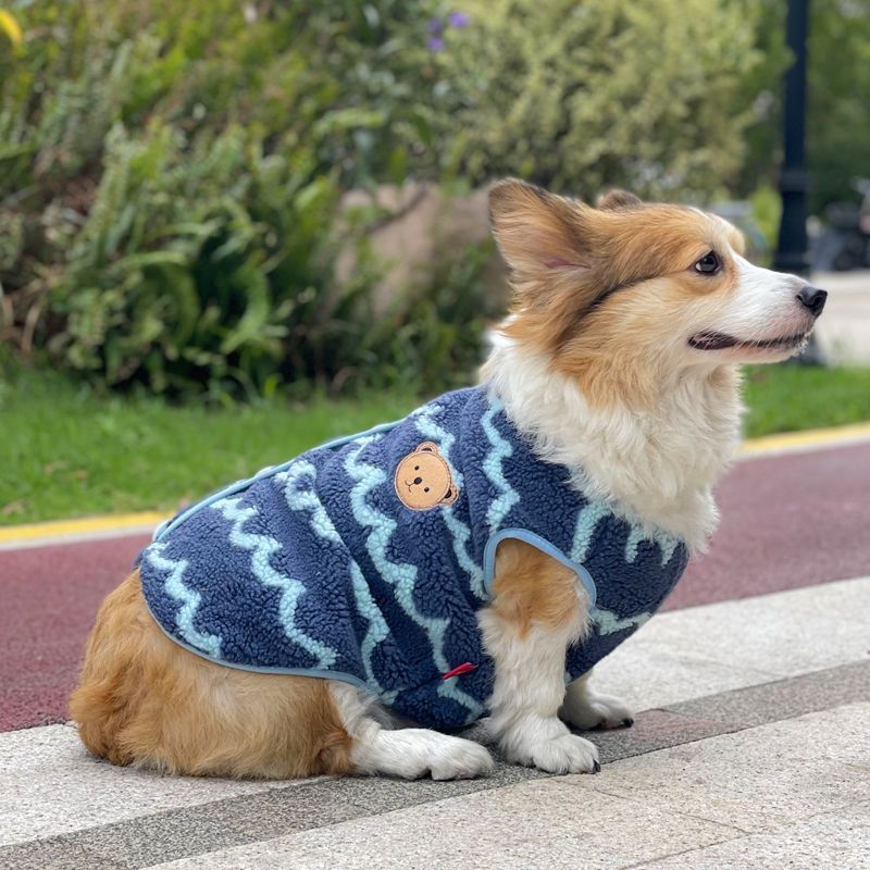 【人氣賣家】狗狗衣服秋冬款泰迪比熊中小型犬加厚絨保暖柯基博美春季法鬥寵物