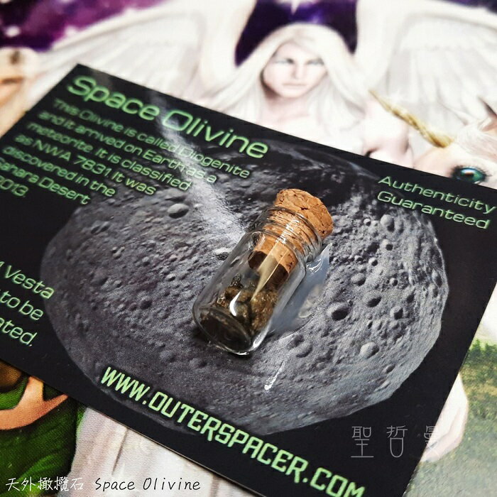 【2025土桑精選】天外橄欖石NWA 7831 Space Olivine