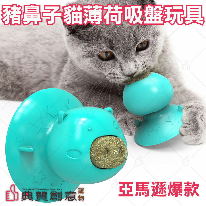 豬鼻子貓薄荷吸盤玩具 貓咪潔牙 抗撕咬 寵物用品 台灣24H出貨