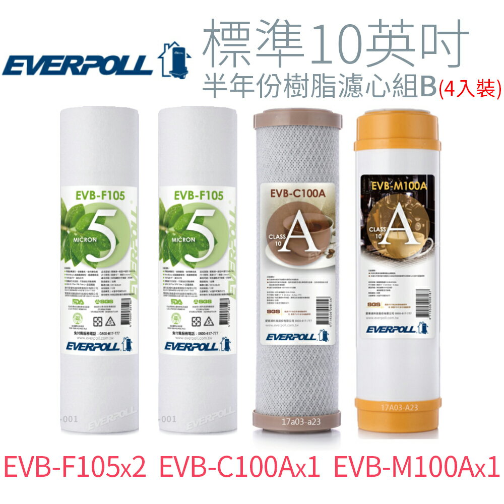 【EVERPOLL】標準10英吋 半年份樹脂濾心組B (4入)