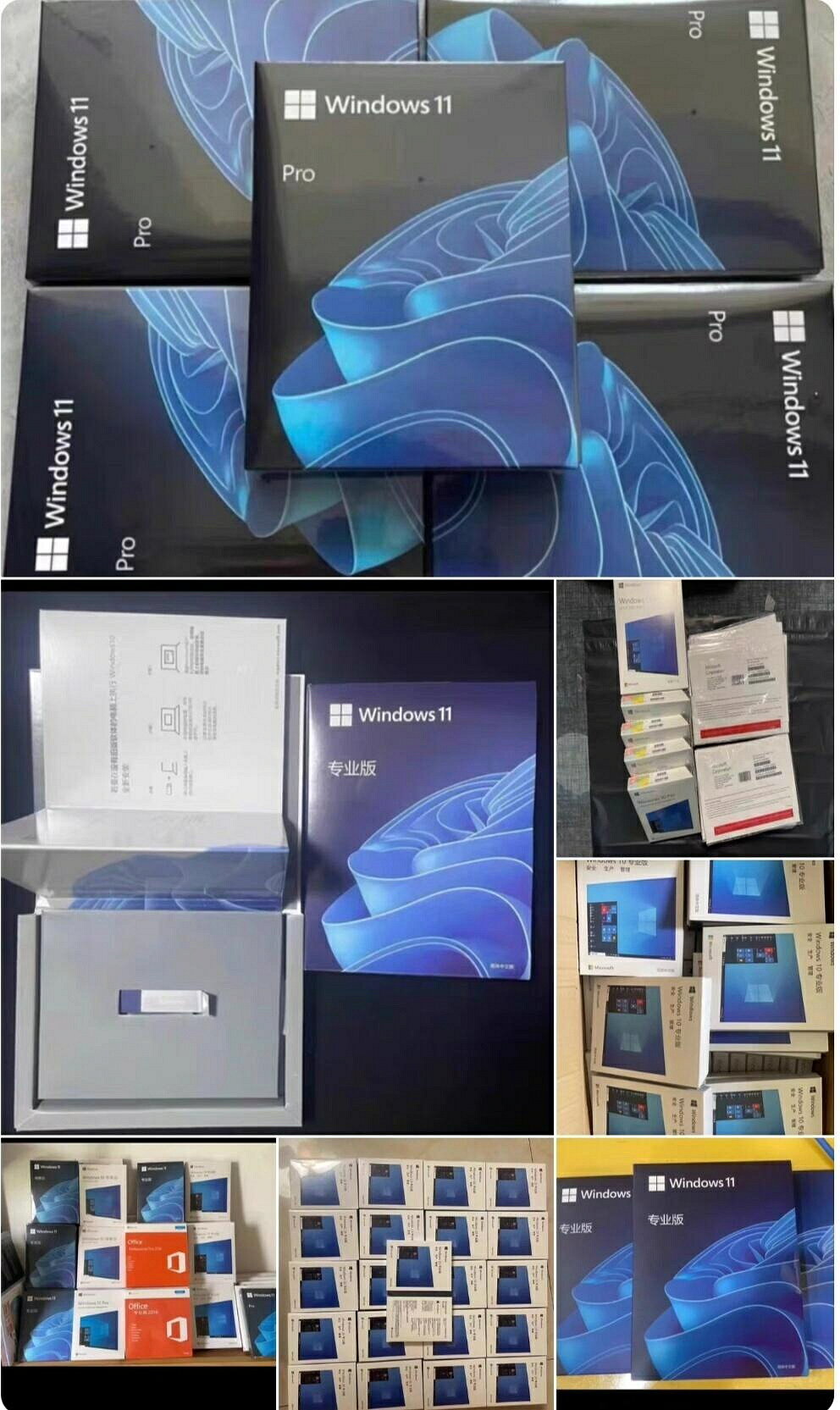 正版Win10專業版彩盒系統盤 Win11專業版優盤 一機一號永久啟用 原版授權現貨批發【微軟批發零售】