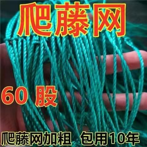 植物搭架網 店植物爬藤網 60股加粗種植網 絲瓜苦瓜吊瓜南瓜百香果攀爬網