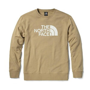 ⭐限時9倍點數回饋⭐【毒】北臉 北面 The North Face BIG LOGO CREW 男女 T恤 卡其 百搭 NF0A5B45H7E