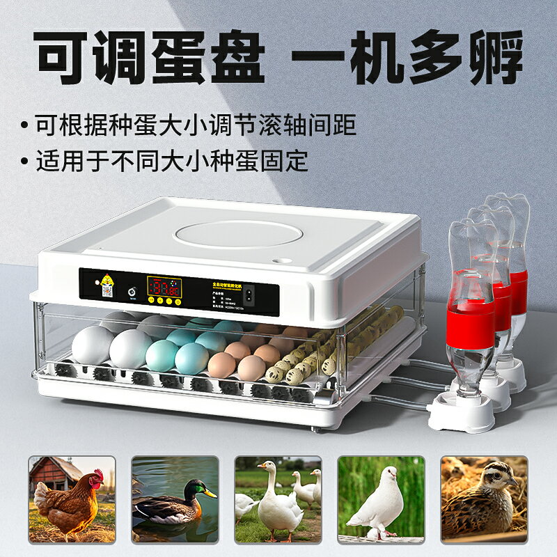 【臺灣公司優質服務】孵蛋器水床小雞蘆丁雞孵化器小型機器家用全自動智慧孵化箱孵化機