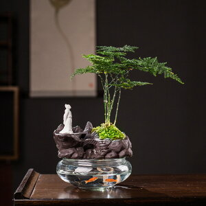 花盆 紫砂哥窯小和尚陶瓷花盆創意懶人自動吸水盆栽客廳桌面玄關小擺件