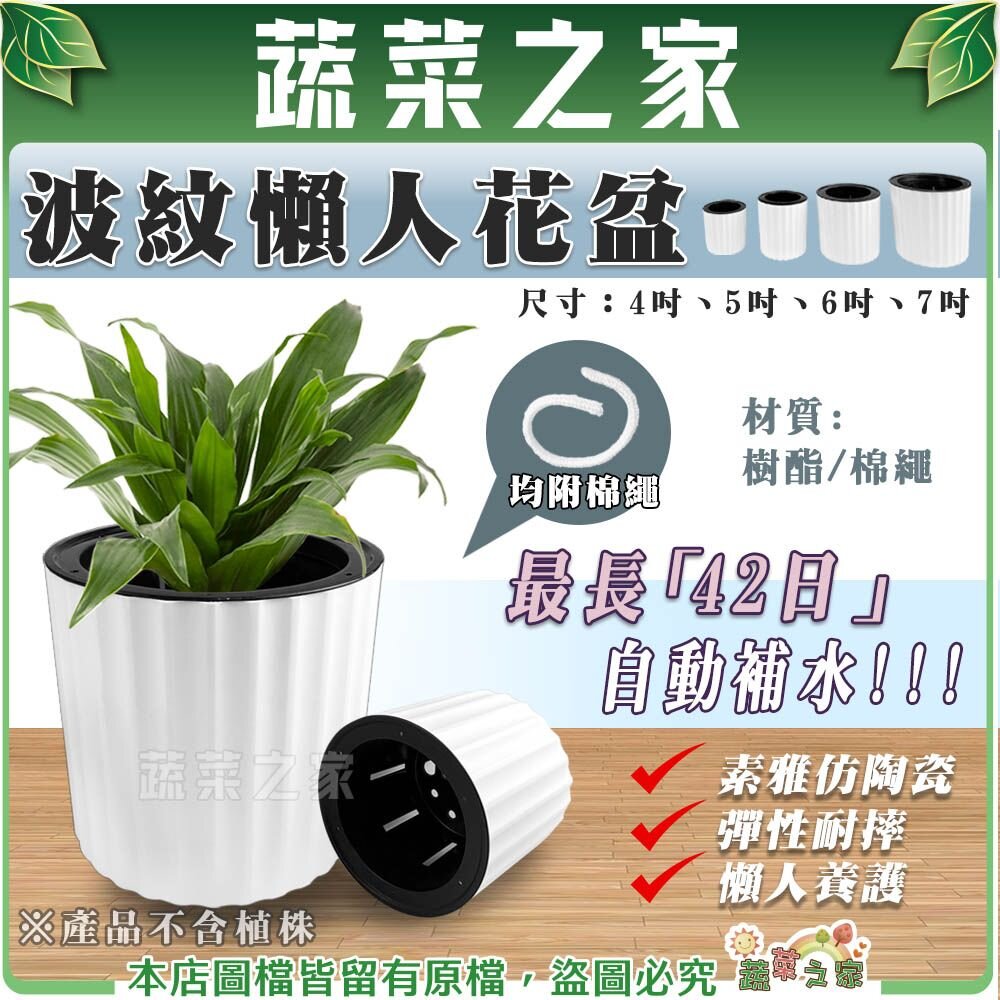 【蔬菜之家】波紋懶人花盆(四種尺寸：4吋、5吋、6吋、7吋) 自動吸水花盆 自動澆水 懶人盆栽 栽培盆 多肉盆 香草盆 塑膠盆 圓盆 花盆