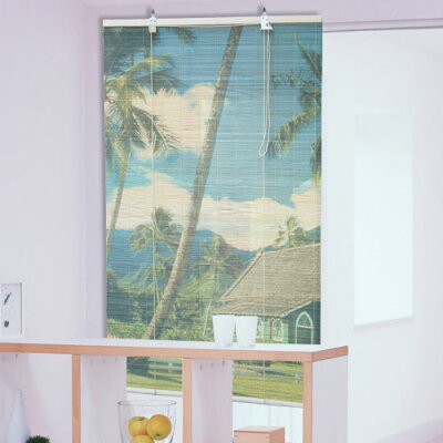 無拉繩捲簾 2021年6月 Rakuten樂天市場