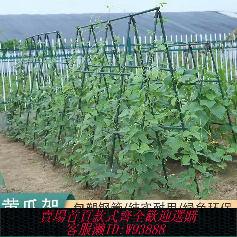 {臺灣公司貨 可打統編}植物爬藤三角架清倉特價搭架桿豆角黃瓜攀爬架花園瓜果家用葡萄架