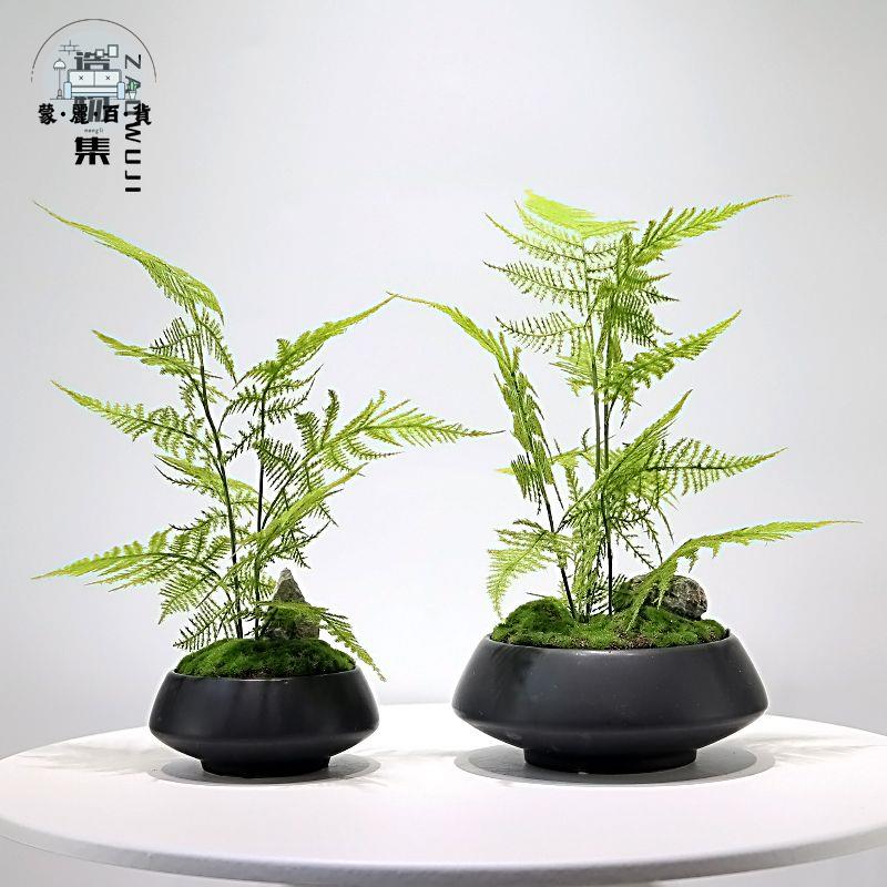 特惠/免運 工廠現貨 仿真花 假花 辦公室擺件 客廳裝飾 新中式模擬綠植盆景樣板房客廳茶幾售樓處玄關植物文竹盆栽擺件 可開發票 全館折扣 特惠/店長推薦 售後保障 m5523