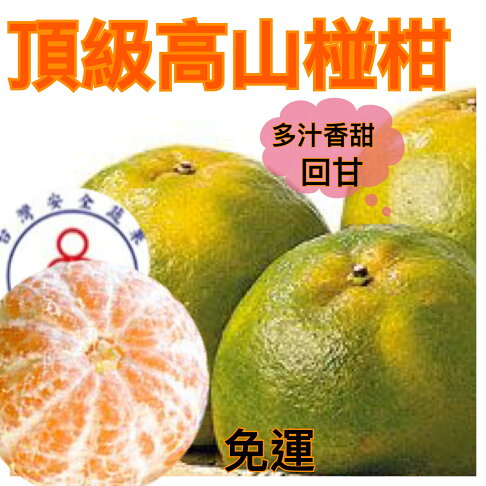頂級30A特大高山椪柑試嘗5斤約8~9顆/家庭10斤/精緻禮盒12入【皇家果物】免運 0