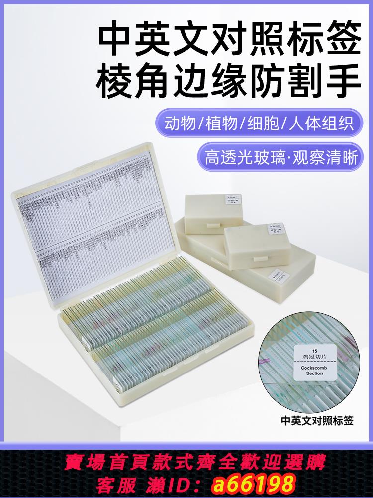【臺灣公司 可開發票】顯微鏡標本切片玻璃玻片兒童學生觀察洋蔥細胞/細菌/動植物光學套裝
