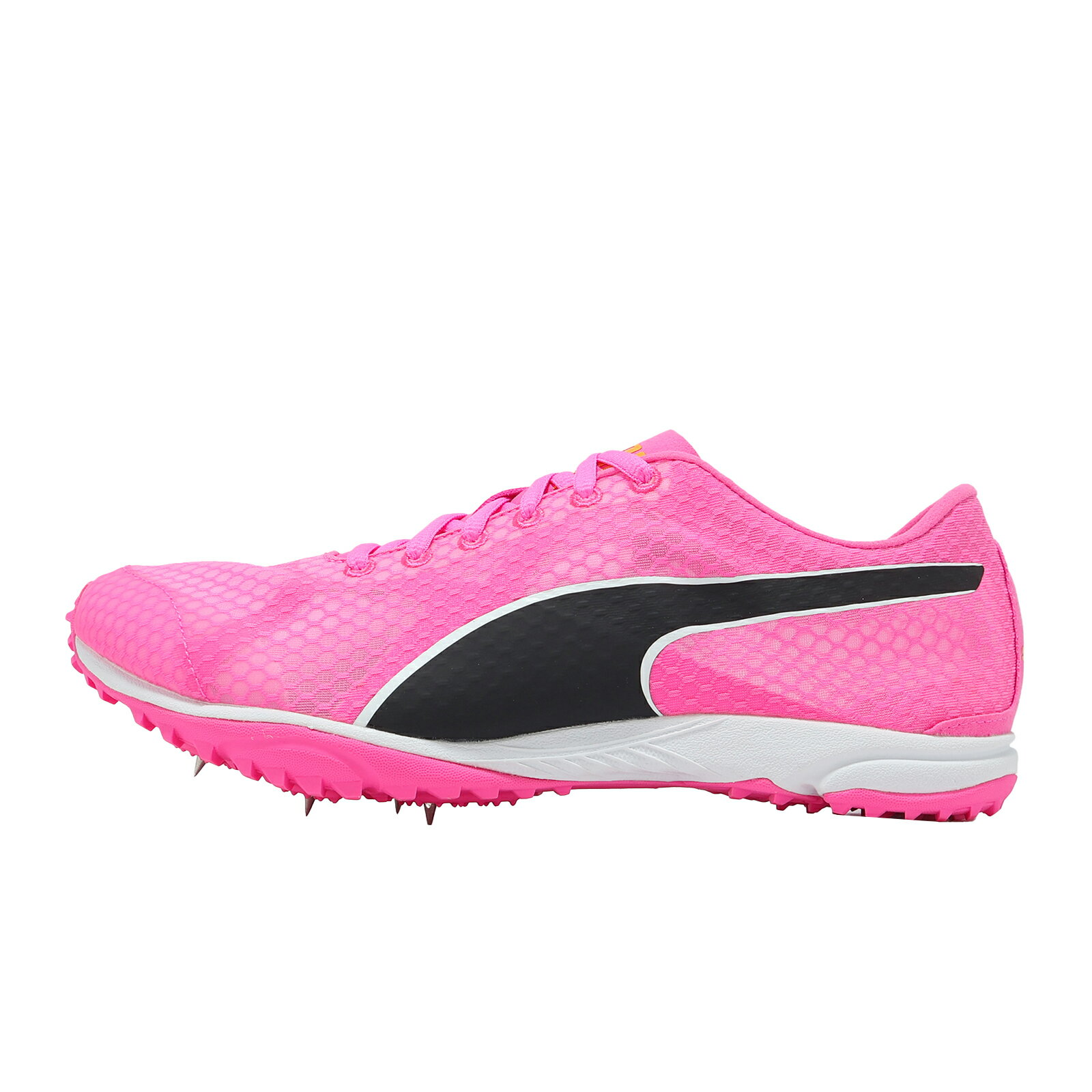 Puma 田徑釘鞋 EvoSpeed Haraka 8 男鞋 粉紅 可拆式 抓地 313591-02