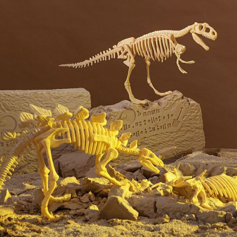 10一15歲智力玩具恐龍化石挖掘霸王龍玩具手工制作骨架拼裝模型