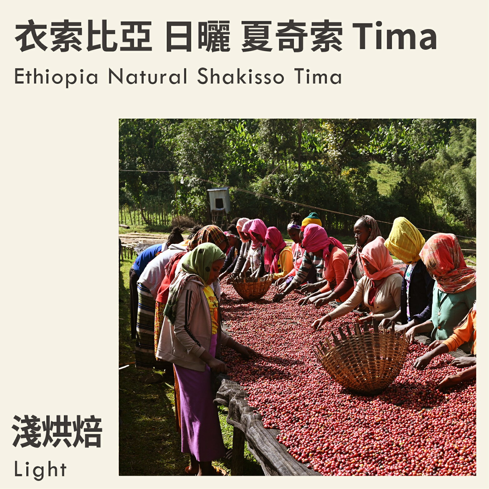 KaKaLove 咖啡-衣索比亞 日曬 夏奇索 Tima 0.5磅