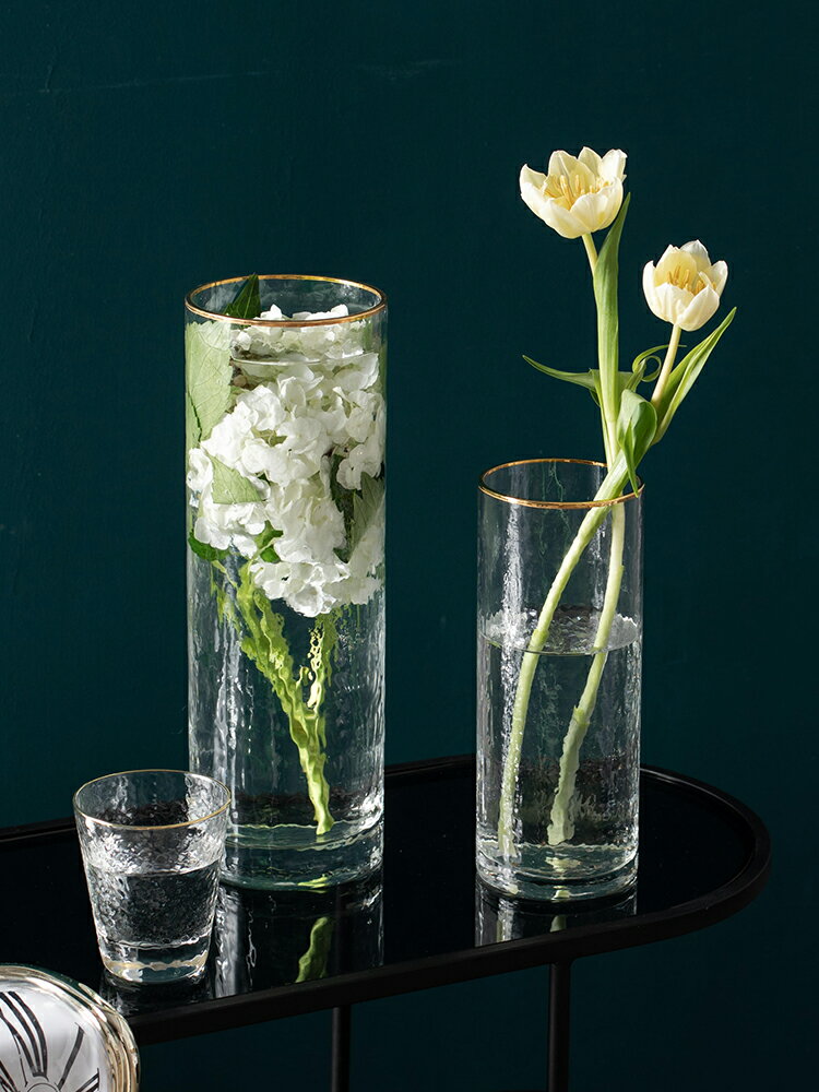 南十字星 現代輕奢金邊透明玻璃花瓶水培器皿客廳插花擺件ins冰島