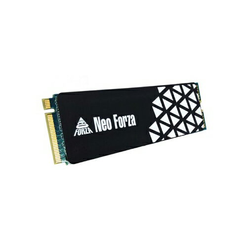 Neo Forza 凌航 NFP055 1TB PCIe Gen3 SSD固態硬碟 SSD