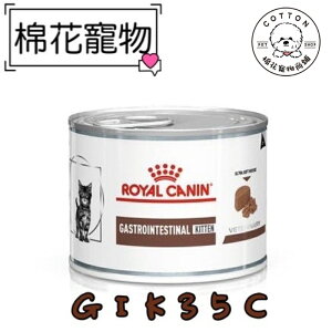棉花寵物❤️皇家-幼貓腸胃道配方195克/罐 GIK35C
