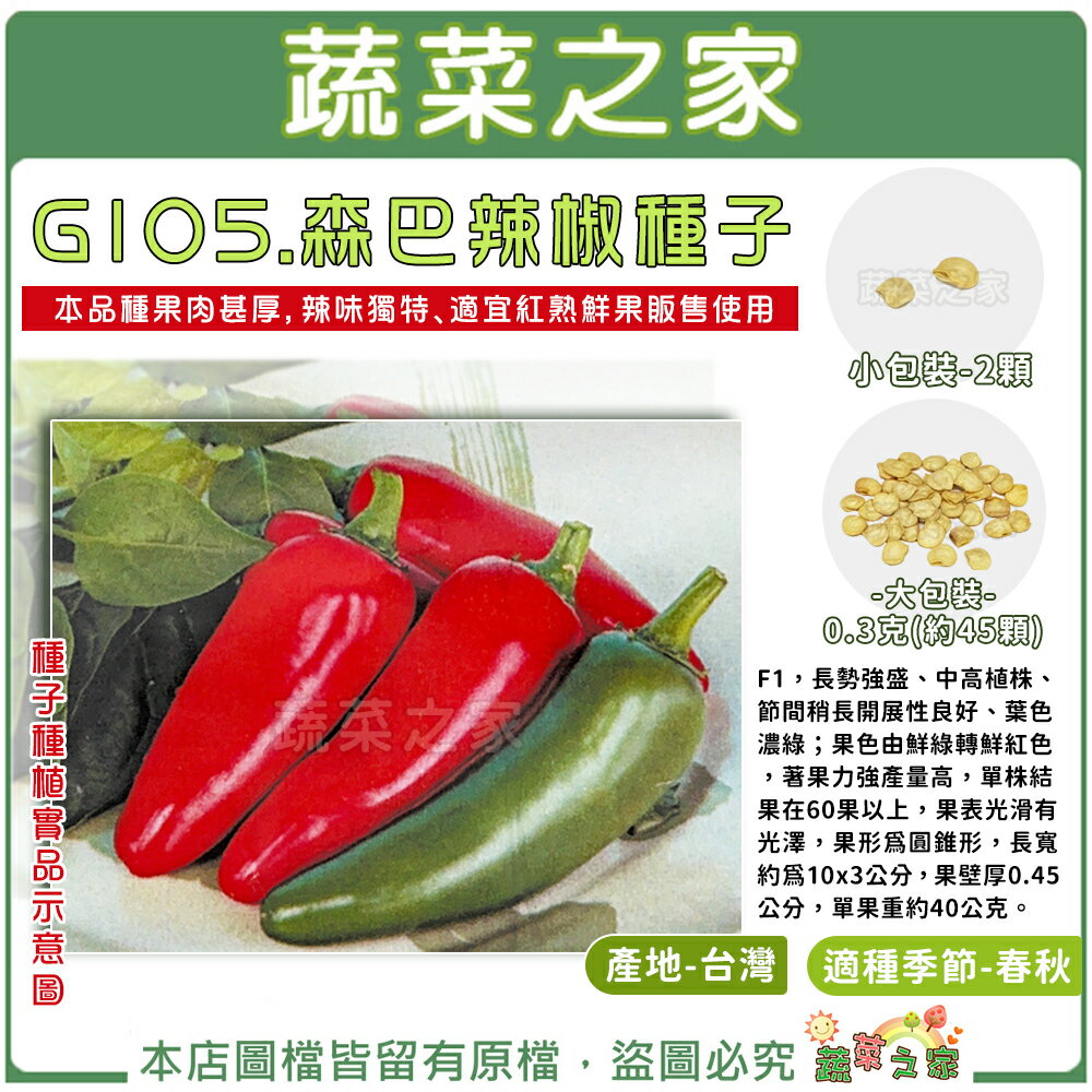 【蔬菜之家】G105.森巴辣椒種子 (F1) (共2種包裝可選) 長勢強盛、中高植株、著果力強產量高