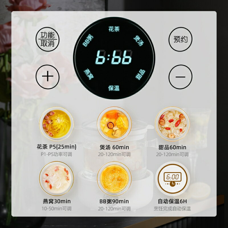 110v伏電壓養生壺美國出口臺灣加拿大小家電燒水煮茶壺家用多功能