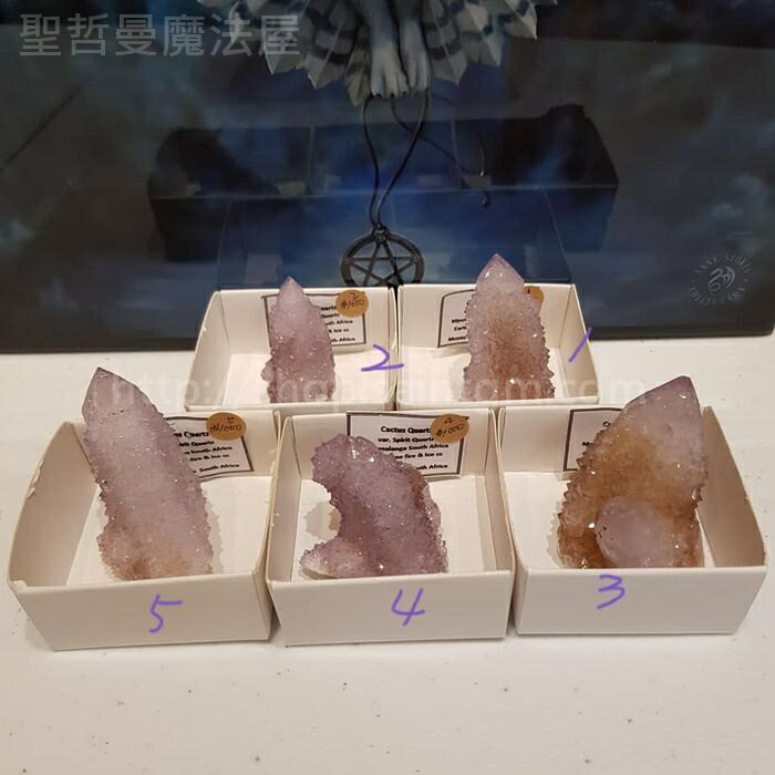 【土桑展精選寶物】仙人掌水晶191203~1-5號(Cactus Quartz) ~南非