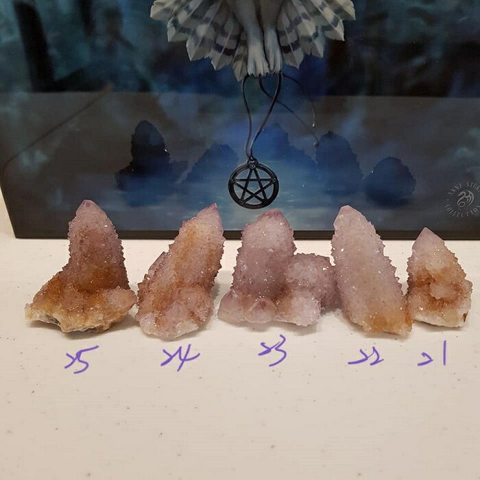 【土桑展精選寶物】仙人掌水晶191203~21-25號(Cactus Quartz) ~南非