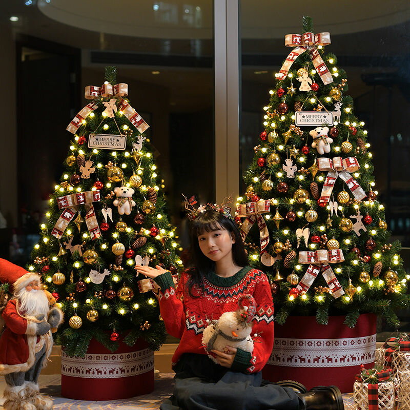 幫家裡聖誕佈置裝飾推薦聖誕裝飾及吊飾到【雙十二大促】聖誕樹家用裝飾品大樹聖誕節佈置桌面小氛圍擺件DIY遙控帶燈套餐【幸福驛站】就在幸福驛站推薦幫家裡聖誕佈置裝飾