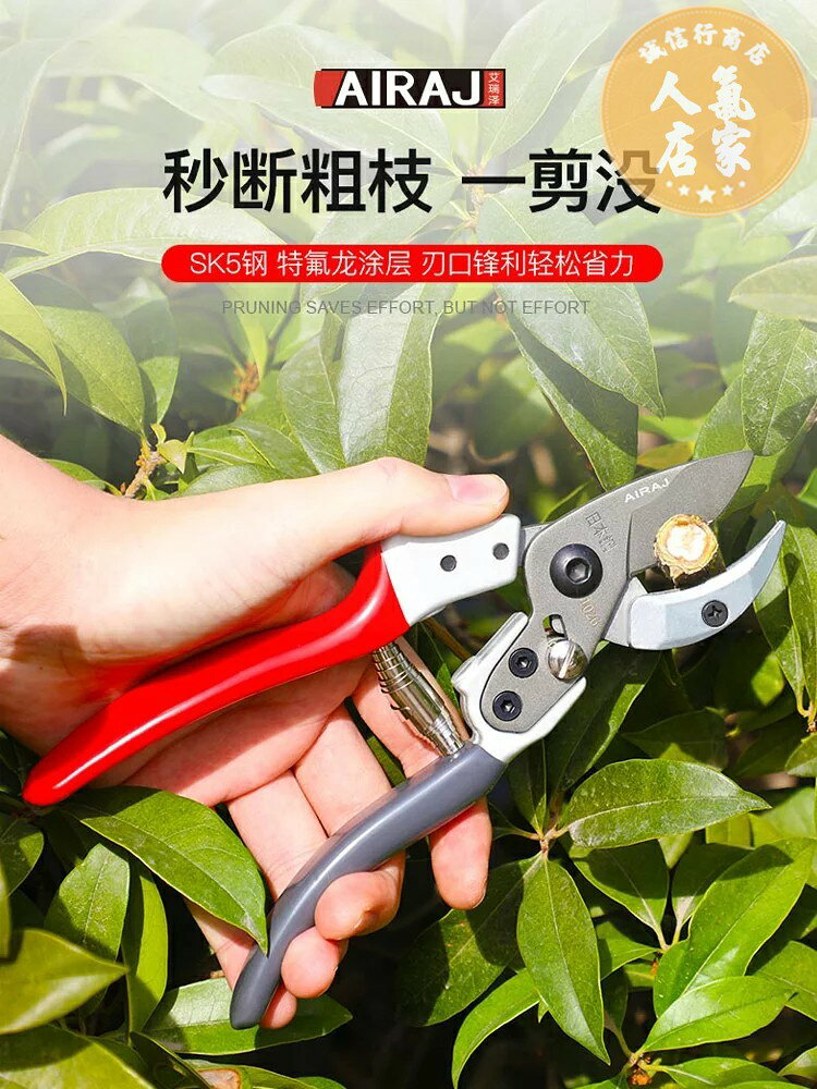 修枝剪 園藝剪刀 花藝剪 園藝剪刀果樹修枝剪日本進口SK5鋼花卉花木園林造型剪專用剪神器