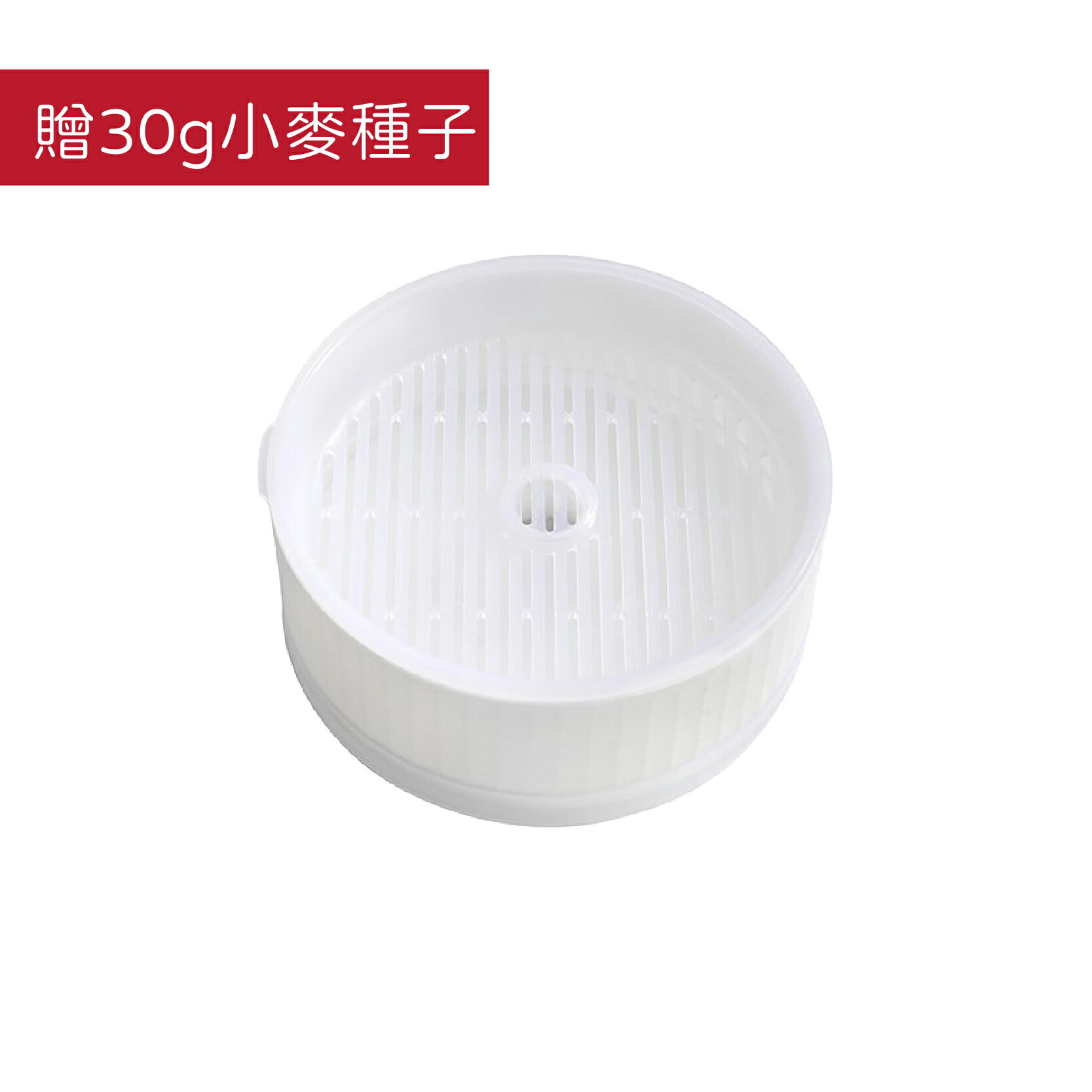 撞色貓草水培盒 貓草Diy 水培貓草盒 無土貓草盒 水培器 種貓草盆 貓草 貓草種植 小麥草【230510】 0