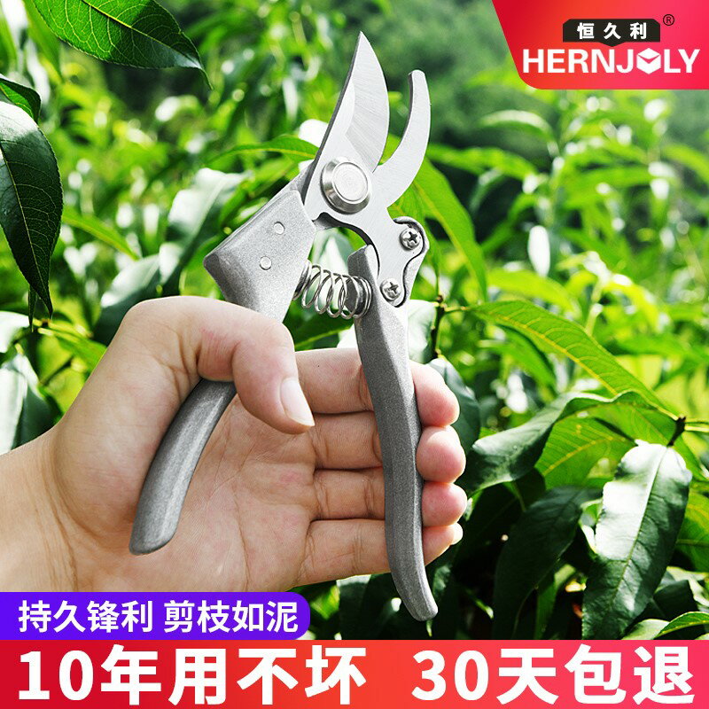 剪枝剪樹枝剪刀採摘水果修花椒神器盆景修剪造型專用工具修枝剪子