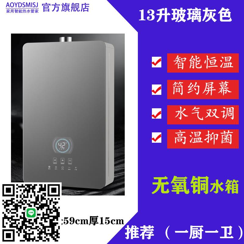 【新品大密斯】燃氣熱水器電廚房恆溫天然氣液化氣煤氣強排式專用