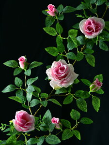 仿真玫瑰花假花藤條綠植塑料藤蔓植物室內空調管道遮擋裝飾墻壁掛
