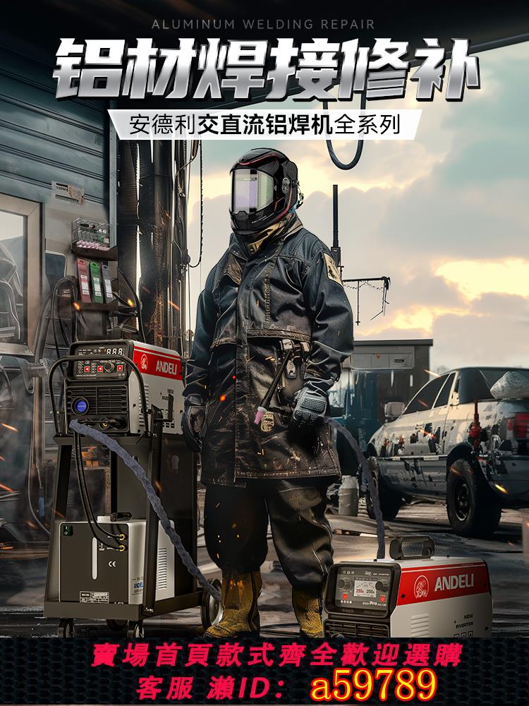 【臺灣公司 可打統編】安德利WSE-250鋁焊機焊鋁專用交流氬弧焊機220V電焊鋁合金焊接機