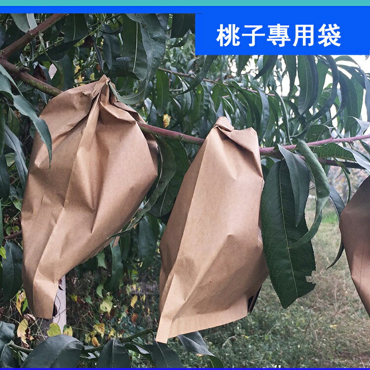 防蟲袋 水果套袋 桃子套袋專用袋黃桃袋桃子紙袋黃桃水蜜桃蟠桃紙袋防蟲防雨水桃袋【MJ23550】