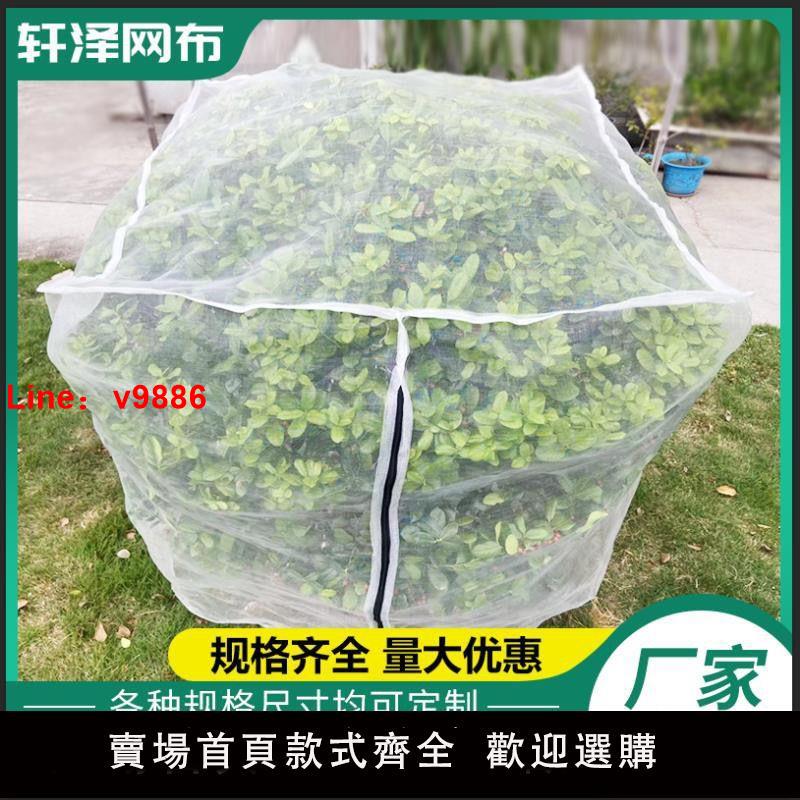 【臺灣公司破盤價】果樹防鳥防蟲網楊梅樹網罩大棚蓮霧藍莓網桃樹防鳥網網罩羅幔蚊帳