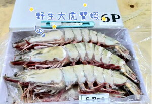 巨無霸虎臂蝦(熊蝦)/800克/盒/6大尾
