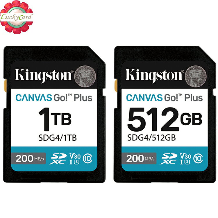 KINGSTON 512GB 512G 1TB 1T SD SDXC SDG4 200MB/s V30 4K 金士頓｜滿額領券最高現折$220