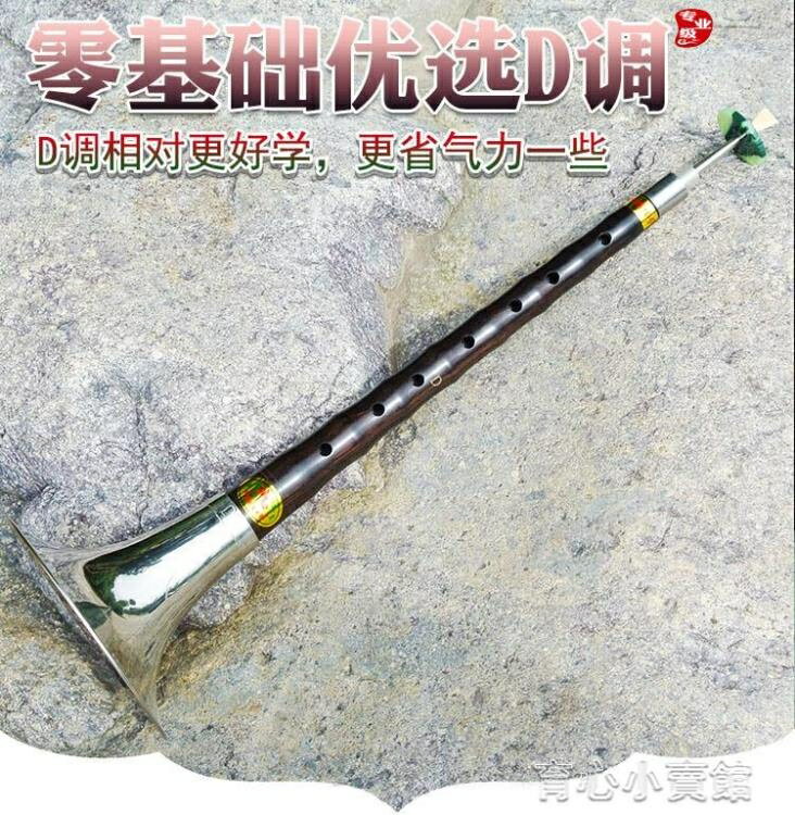 燕京嗩吶樂器全套 專業d調初學者民族成人入門小號喇叭送鎖吶哨片 免運開發票
