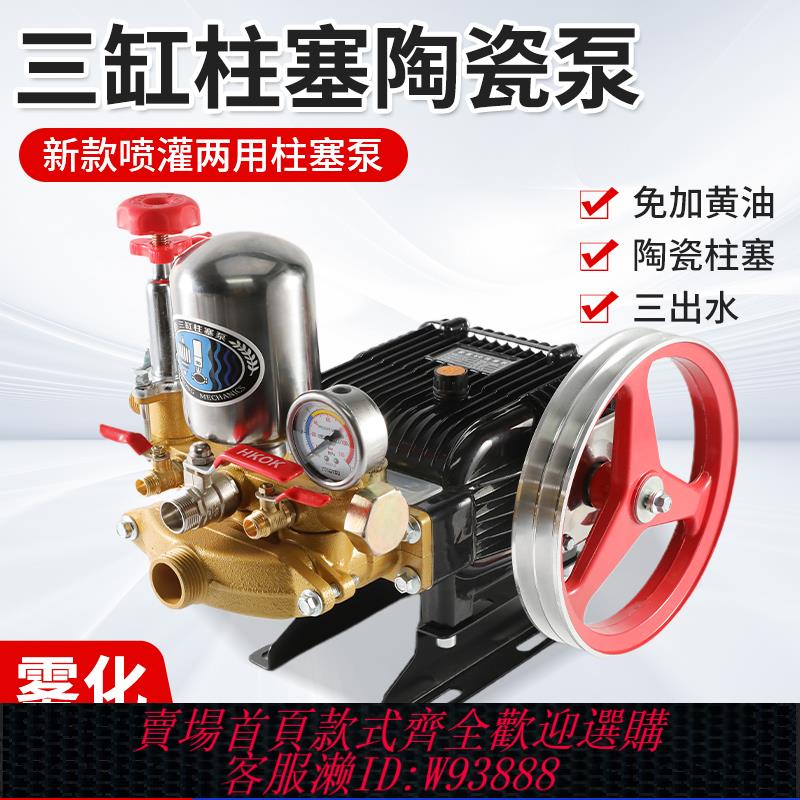 {臺灣公司貨 可打統編}三缸柱塞泵打藥機噴霧器高壓農用園林果樹小型家用電動噴灑農藥泵