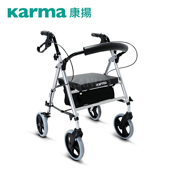 【康揚】輕鬆行100 助行車 助步車 (EZ Walker100)