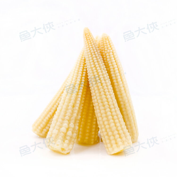 越南-熟凍玉米筍(1kg/包)#越南-1H2B【魚大俠】AR044